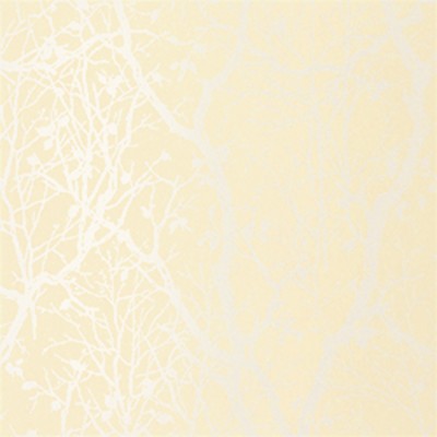 Фото Обои с рисунком - Растение - стиль Американский - Кремовые - Купить в Интернет-магазине