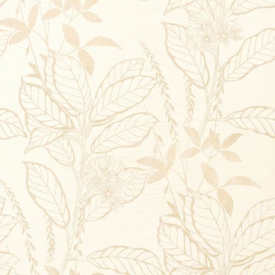 Фото Обои с рисунком - Растение - стиль Американский - Кремовые - Купить в Интернет-магазине