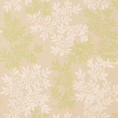 Фото Обои с рисунком - Растение - стиль Американский - Бежевые - Купить в Интернет-магазине