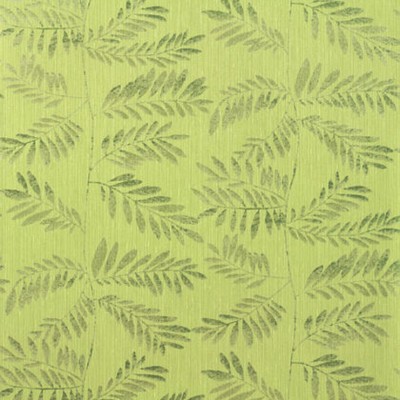 Фото Обои с рисунком - Растение - стиль Американский - Зеленые - Купить в Интернет-магазине