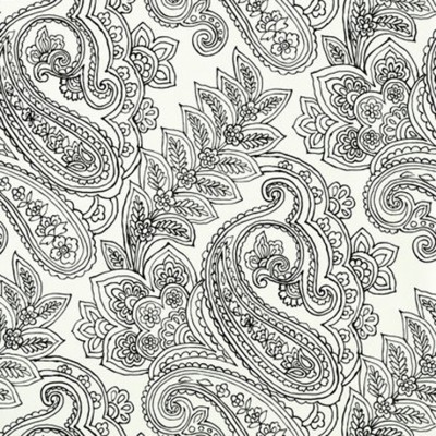 Фото Обои с рисунком - Пейсли - стиль Американский - Белые - Купить в Интернет-магазине