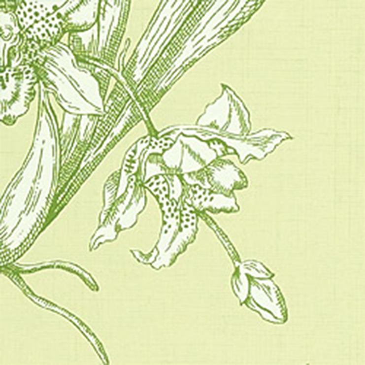 Фото Обои с рисунком - Растение - стиль Американский - Зеленые - Купить в Интернет-магазине