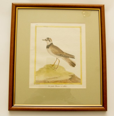 Фото Гравюра - стиль Классический - Картонная - В наличии - Купить в Интернет-магазине