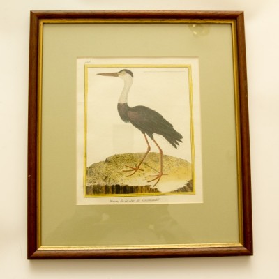 Фото Гравюра - стиль Классический - Картонная - В наличии - Купить в Интернет-магазине