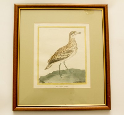 Фото Гравюра - стиль Классический - Картонная - В наличии - Купить в Интернет-магазине