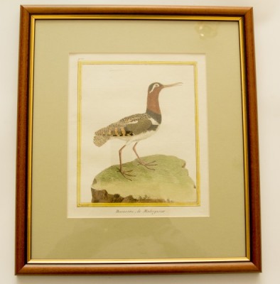 Фото Гравюра - стиль Классический - Картонная - В наличии - Купить в Интернет-магазине