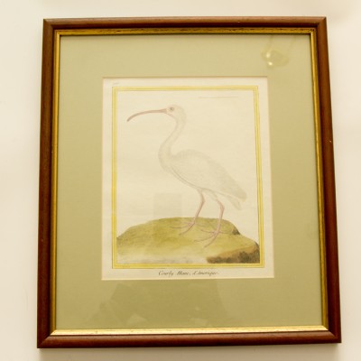 Фото Гравюра - стиль Классический - Картонная - В наличии - Купить в Интернет-магазине