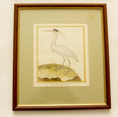 Фото Гравюра - стиль Классический - Картонная - В наличии - Купить в Интернет-магазине