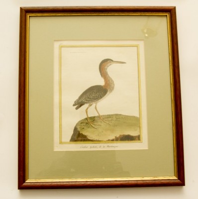 Фото Гравюра - стиль Классический - Картонная - В наличии - Купить в Интернет-магазине