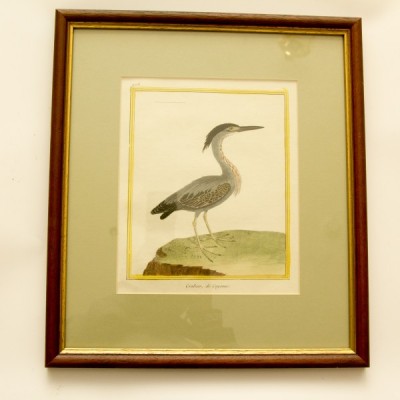 Фото Гравюра - стиль Классический - Картонная - В наличии - Купить в Интернет-магазине