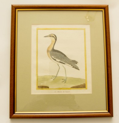 Фото Гравюра - стиль Классический - Картонная - В наличии - Купить в Интернет-магазине