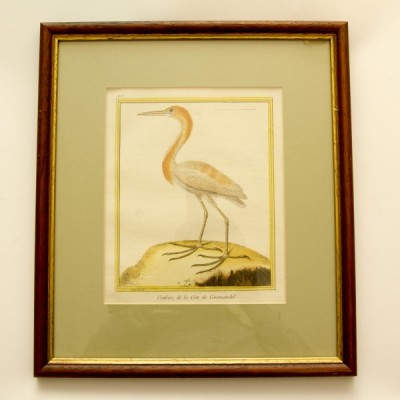 Фото Гравюра - стиль Классический - Картонная - В наличии - Купить в Интернет-магазине