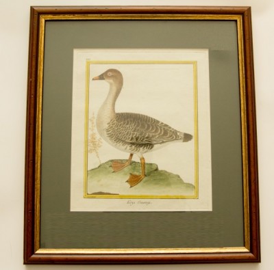 Фото Гравюра - стиль Классический - Картонная - Купить в Интернет-магазине