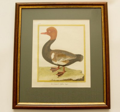 Фото Гравюра - стиль Классический - Картонная - Купить в Интернет-магазине