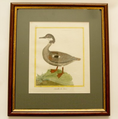 Фото Гравюра - стиль Классический - Картонная - В наличии - Купить в Интернет-магазине