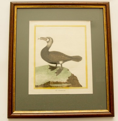 Фото Гравюра - стиль Классический - Картонная - В наличии - Купить в Интернет-магазине