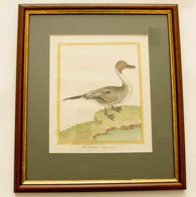 Фото Гравюра - стиль Классический - Картонная - В наличии - Купить в Интернет-магазине