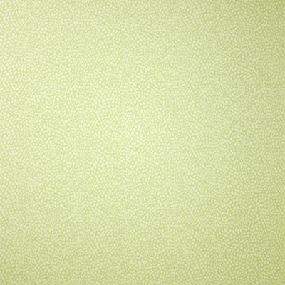 Фото Обои с рисунком - Мелкий принт - стиль Английская классика - Зеленые - Купить в Интернет-магазине