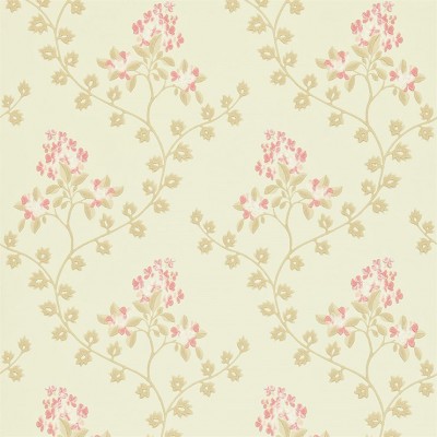 Фото Обои с рисунком - Цветы - стиль Английская классика - Кремовые - Купить в Интернет-магазине