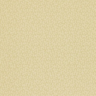 Фото Обои с рисунком - Орнамент - стиль Современный - Бежевые - Купить в Интернет-магазине