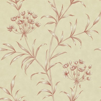 Фото Обои с рисунком - Растение - стиль Английская классика - Кремовые - Купить в Интернет-магазине