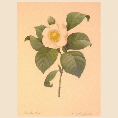 Фото Гравюра - стиль Классический - Картонная - Купить в Интернет-магазине