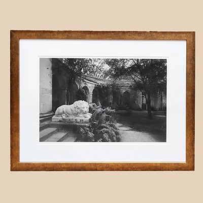 Фото Фотография - стиль Дизайнерский - Картонная - Купить в Интернет-магазине