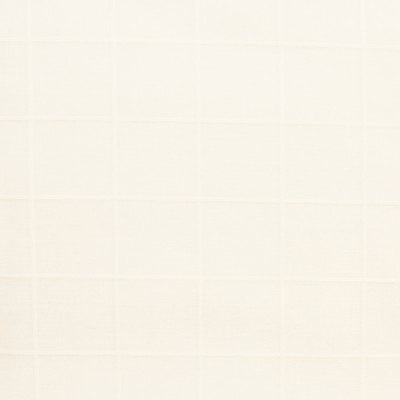 Фото Ткань тюлевая и вуаль - Ткань тюлевая с рисунком - стиль Современный - Белая - Купить в Интернет-магазине