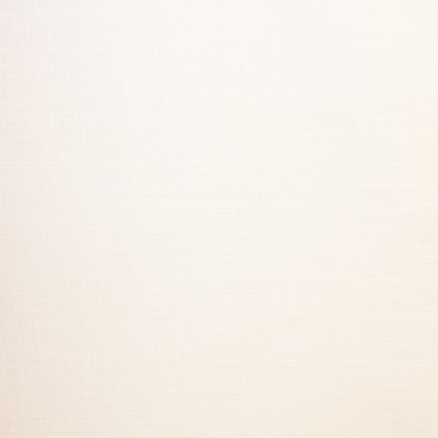 Фото Ткань тюлевая и вуаль - Ткань тюлевая гладкая - стиль Современный - Белая - Купить в Интернет-магазине