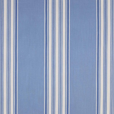 Фото Ткань портьерная с рисунком - Полоски - стиль Английский - Голубы - Купить в Интернет-магазине