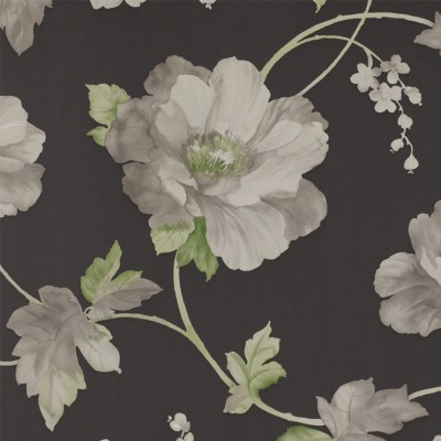 Фото Обои с рисунком - Цветы - стиль Английская классика - Черные - Купить в Интернет-магазине
