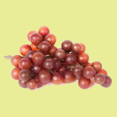 Фото Украшение для стола - стиль Оригинальный - Пластиковое - Купить в Интернет-магазине