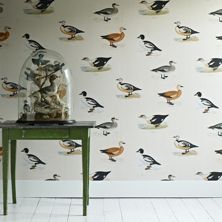 Фото Обои с рисунком - Крупный декор - стиль Современный - Кремовые - Купить в Интернет-магазине