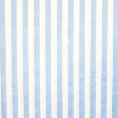 Фото Ткань портьерная с рисунком - Полоски - стиль Английский - Голубы - Купить в Интернет-магазине