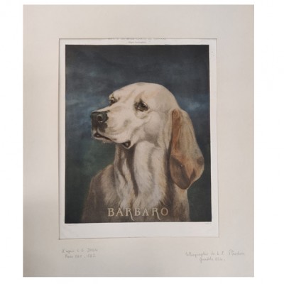 Фото Гравюра - стиль Классический - Картонная - В наличии - Купить в Интернет-магазине