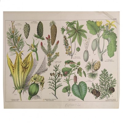 Фото Гравюра - стиль Классический - Картонная - В наличии - Купить в Интернет-магазине