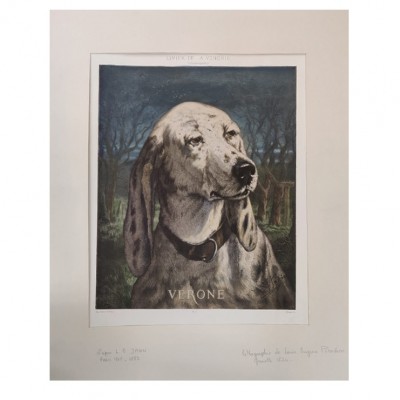 Фото Гравюра - стиль Классический - Картонная - В наличии - Купить в Интернет-магазине