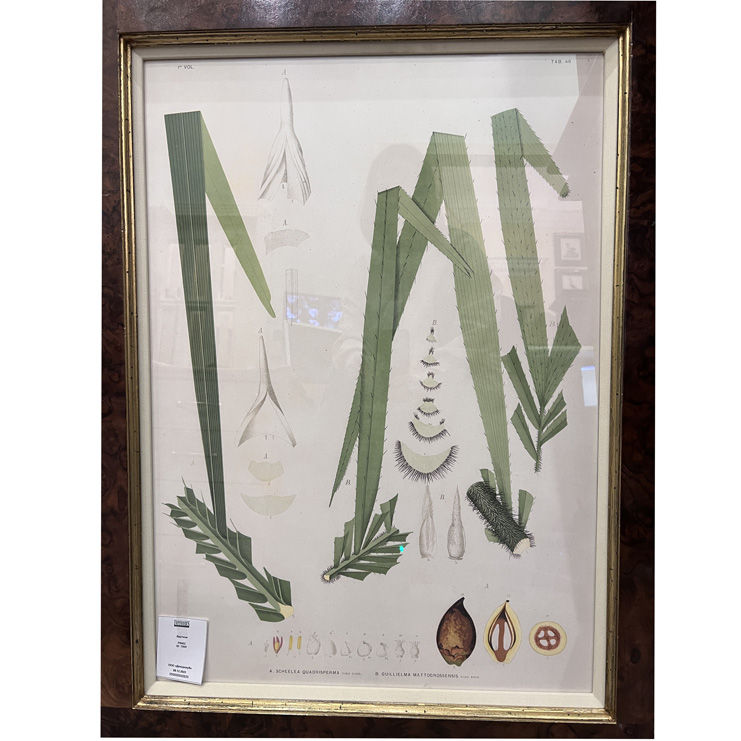 Фото Картина - стиль Современный - Картонная - В наличии - Купить в Интернет-магазине