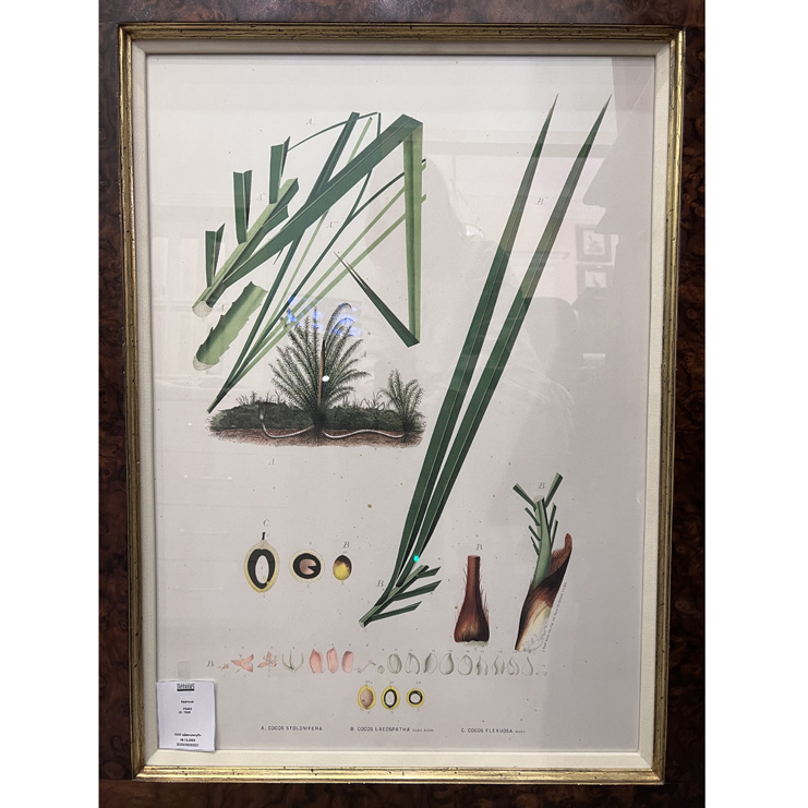 Фото Картина - стиль Современный - Картонная - В наличии - Купить в Интернет-магазине