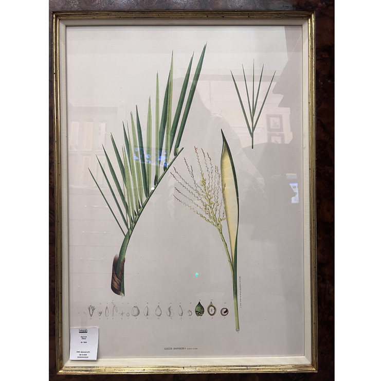 Фото Картина - стиль Современный - Картонная - В наличии - Купить в Интернет-магазине