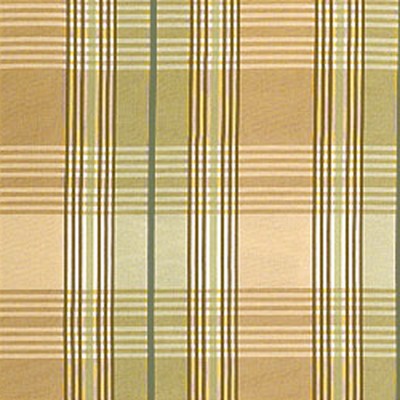 Фото Ткань портьерная с рисунком - Клетка - стиль Американский - Зеленая - Купить в Интернет-магазине