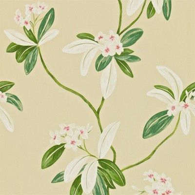 Фото Обои с рисунком - Орнамент - стиль Английская классика - Бежевые - Купить в Интернет-магазине