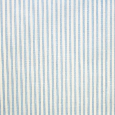 Фото Ткань портьерная с рисунком - Полоски - стиль Английский - Голубы - Купить в Интернет-магазине