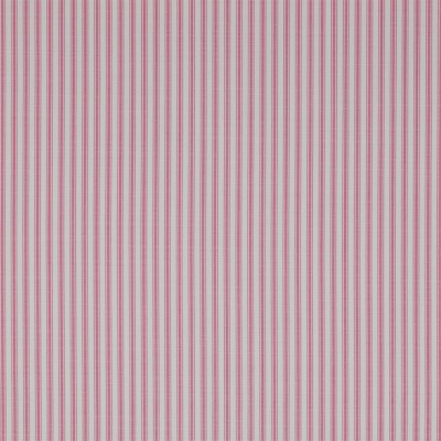 Фото Ткань портьерная с рисунком - Полоски - стиль Английский - Малиновые - Купить в Интернет-магазине
