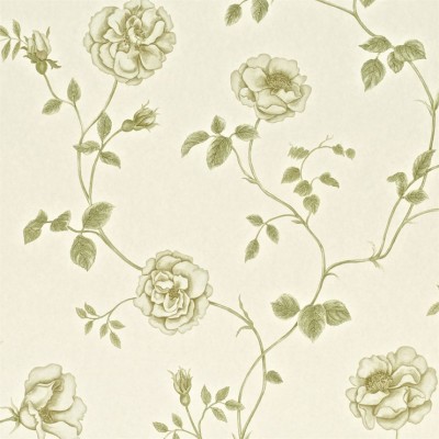 Фото Обои с рисунком - Цветы - стиль Английская классика - Кремовые - Купить в Интернет-магазине