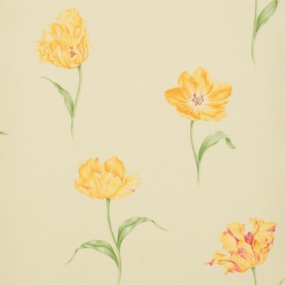 Фото Обои с рисунком - Цветы - стиль Английская классика - Бежевые - Купить в Интернет-магазине